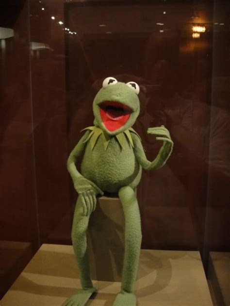 The Original Kermit The Frog At Smithsonian Museum Of Artifacts