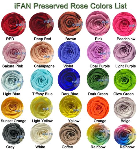 Fresh Pink Rose Flower Preserved Roses 20 Colors Available Cut Flowers