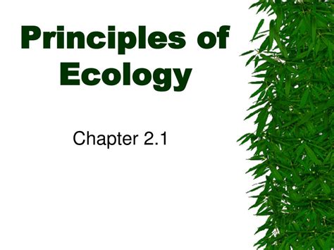 Ppt Principles Of Ecology Powerpoint Presentation Free Download Id