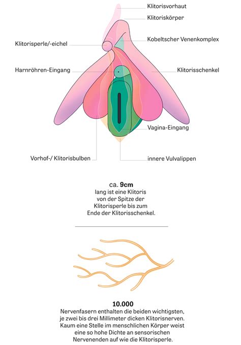Klitoris Ohne Scham Zeit Online