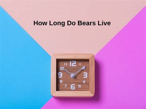 How Long Do Bears Live And Why