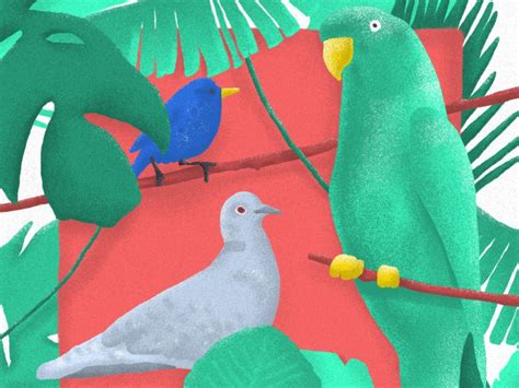 Loving Birdwatching By Laura Lonni On Dribbble