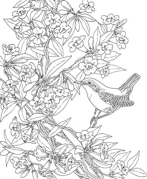 See also these coloring pages below monster high coloring pages gigi grant. Free Printable Coloring Page! The South Carolina State ...