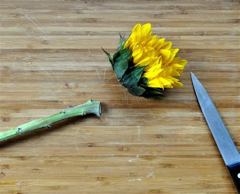 Dry them at around 140˚f (60˚c) for two hours. Effortless Oven Dried Flowers for Crafts | Dried ...