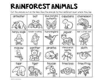 Here you can find domestic and wild animals, cats with kittens, dogs with puppies, birds and fish, horses and other favorite in this part dedicated to the wildlife we collected coloring pages with animals from africa, far north, the north and south poles. Rainforest Layers and Animals by First Grade Schoolhouse | TpT