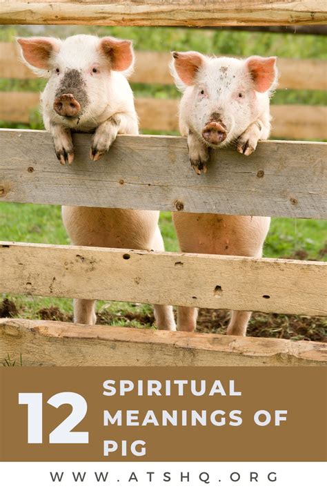 Pig Symbolism 12 Spiritual Meanings Of Pig