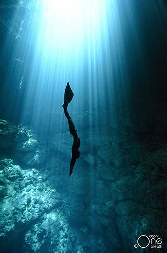 Freediving The Cenotes Of The Yucatan Freediving The Myste Flickr