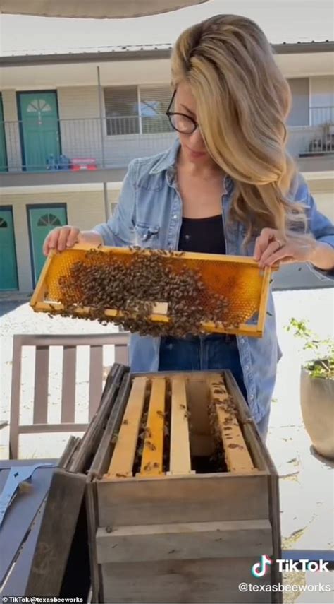 Beekeeper Stuns Tiktok By Scooping Up Swarms Of Buzzing Bees With Her