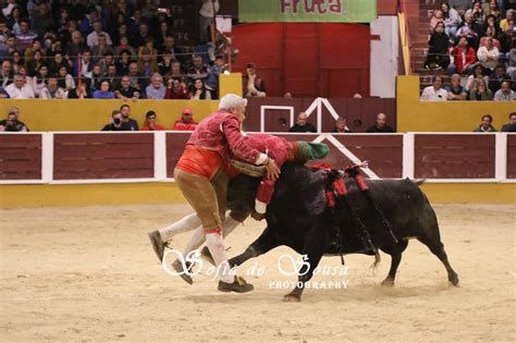 Tiago sampaio fala do pouco caso do governo com o produtor artesanal. AS IMAGENS DA CORRIDA DE ARRUDA DOS VINHOS - SOFIA ALMEIDA ...