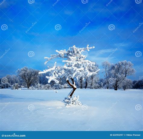 Cold Winter Evening Stock Image Image Of Flow Frosty 63293297