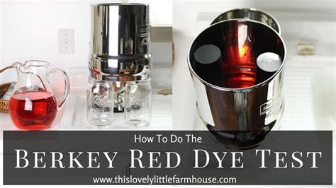 How To Test Your Berkey Water Filter | BERKEY RED DYE TEST - YouTube