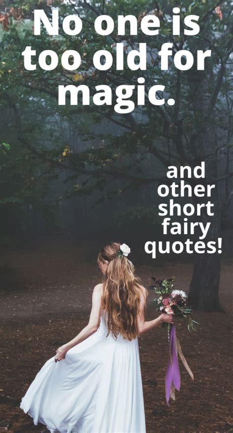Sweet and Short Fairy Quotes – 3 Boys and a Dog