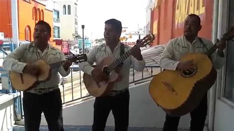 La Charanga Trio Mexicano Youtube