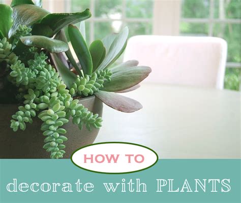 How To Decorate With Plants Houseplants House Plants