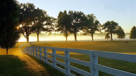 Morning On A Horse Farm Wallpaper Nature And Landscape Wallpaper Better