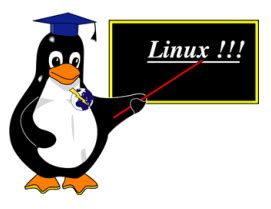 Bob amstadt, the initial project leader, and eric youngdale started the wine project in 1993 as a way to run windows applications on linux. What Are The Best 10 Linux Desktop Apps? - Linux.com
