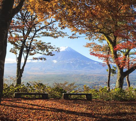 Mt Fuji With Fall Colors In Japan Stock Photo Image Of Momiji Lake