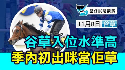 【堅仔試閘靚馬】11月8日 R7 谷草入位水準高，季內初出咪當佢草 波仔 Youtube