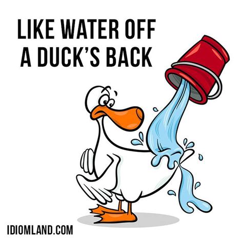 Idiom Like Water Off A Duck S Back In 2021 Idioms Duck Learn English