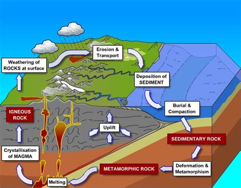 Sedimentary, metamorphic, and igneous.each rock type is altered when it is forced out of its equilibrium conditions. Rock Cycle - Koy Geology Project