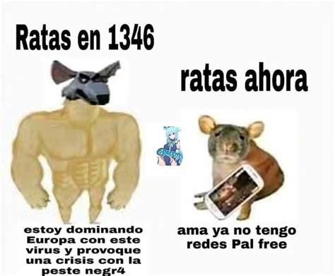 Ratas Ahora Memes Divertidos Meme Divertido Memes Buenisimos