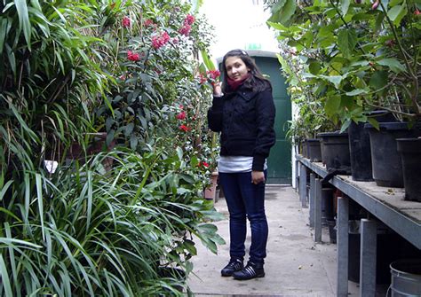 Bei orchideen denken wir an die üppigkeit tropischer regenwälder oder an hochpreisige schnittblumen. Aktuell | Alter Botanischer Garten, Göttingen - Orangerie ...