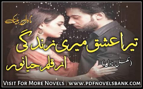 Tera Ishq Meri Zindagi by Haya Noor Novel Complete Pdf Download - Kitab
