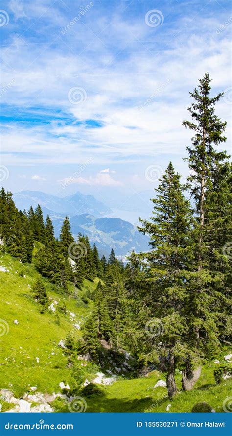 Landscape In The Alps With Fresh Green Meadows And Trees Stock Image