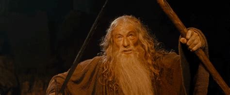 Just click the download button and the gif from the and you shall not pass collection will be downloaded to your device. You Shall Not Pass - Reaction GIFs