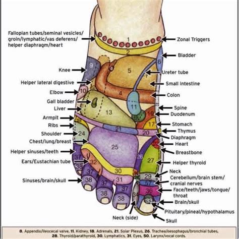 Check Out This Foot Reflexology Map If You Would Like To Learn How