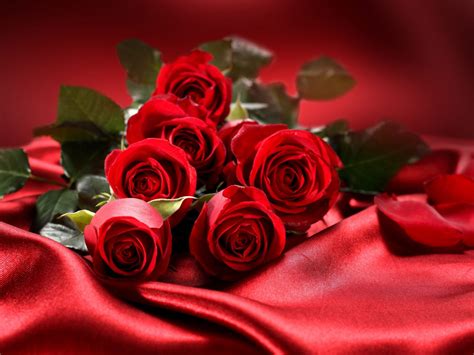 Bouquet Flowers Red Roses Love Valentine S Day 2560x1600