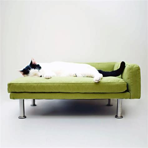 Petfusion ultimate cat scratcher lounge. Dot & Bo - Furniture and Décor for the Modern Lifestyle ...