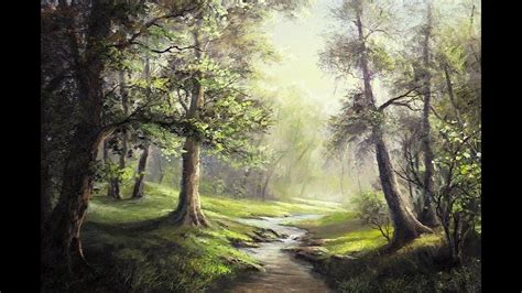 Are You Fascinated By Forest Landscapes Where The Sunlight Is Shining