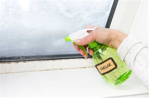 Soak shower curtains in hot water to. Mold Bathroom Ceiling Vinegar | Shelly Lighting