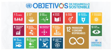 Los 17 Objetivos De Desarrollo Sostenible De La ONU Henkel Es