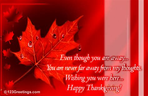 Missing You On Thanksgiving Free Love Ecards Greeting Cards 123