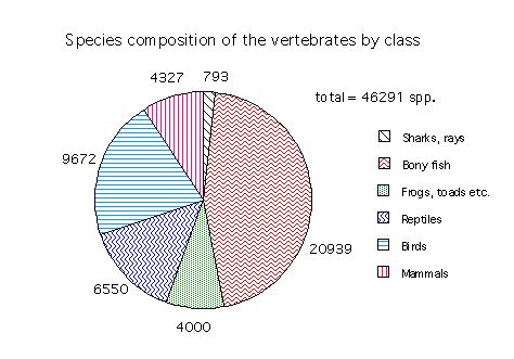 Bio 284a Course Overview | Vertebrates, Pie chart, Kingdom animalia