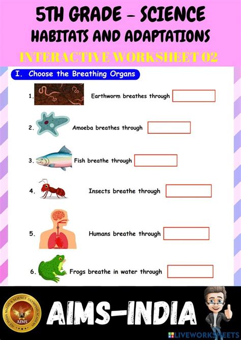 Pin On 5th Grade Science Worksheets