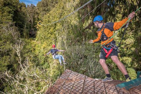 The world's longest & largest zipline canopy tour. Rotorua Zipline Canopy Adventure Eco ForestTours 2019