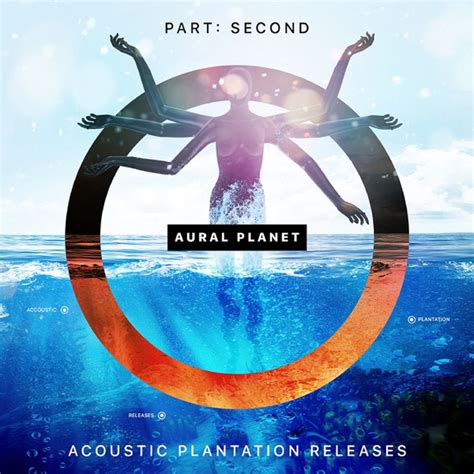 Part Second And Acoustic Plantation Releases Discogs