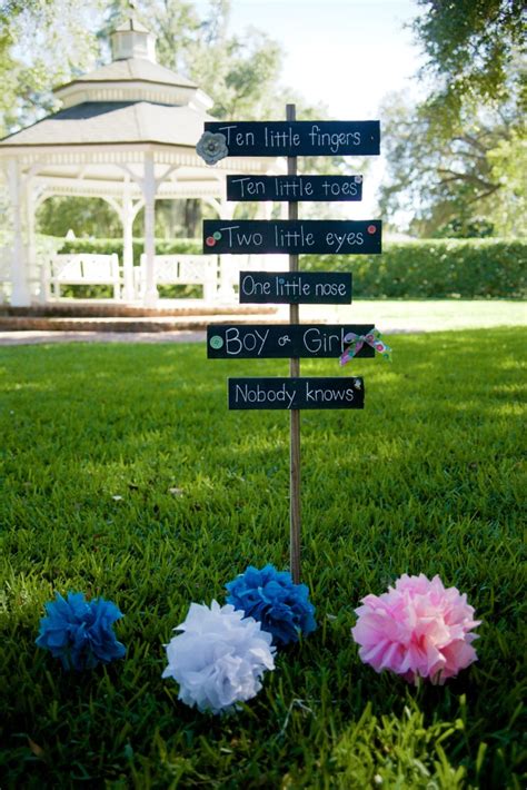 Gender Reveal Party On The Lawn Project Nursery