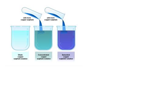 Concentrated Vs Diluted Solution Science Showme