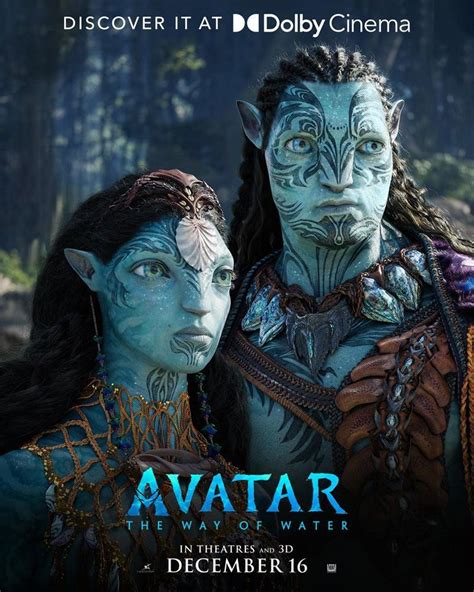 Ver Avatar 2 El Sentido Del Agua 2022 Pelicula Online Completa En Hot Sex Picture