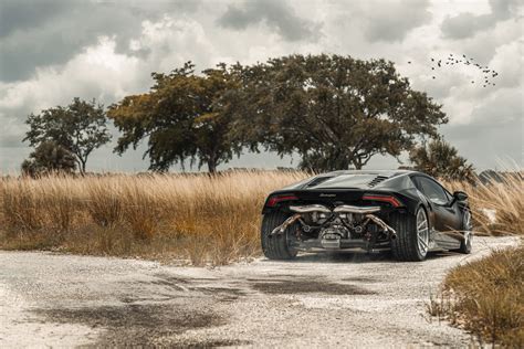 Lamborghini Engine Dry Grass Outdoors Trees Birds Exhaust Pipes