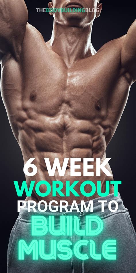 6 Week Workout Program To Build Muscle With Pdf Workout Programs