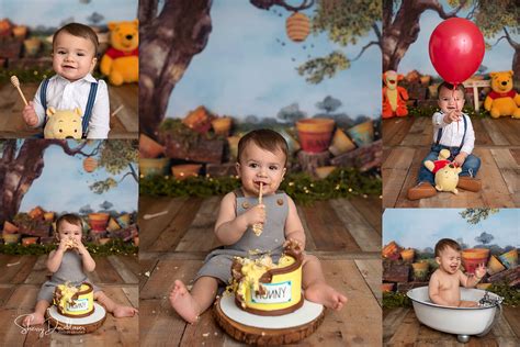 The Sweetest Winnie The Pooh Cake Smash Session Va Md Dc Photographer