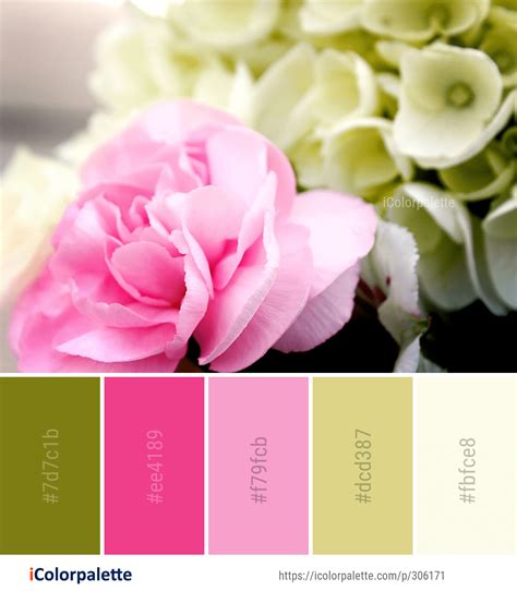 Discover Beautiful Color Palettes For Inspiration