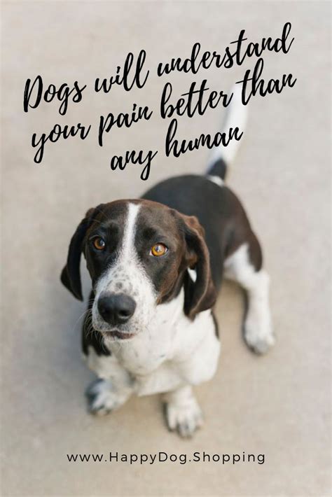 ️ Dog Quotes Love And Loyalty Happydogshopping Dog Quotes Dogs