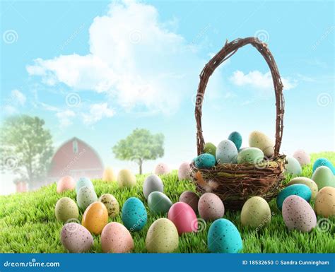 Colorful Easter Eggs In Field Of Grass Stock Photo Image Of Cute