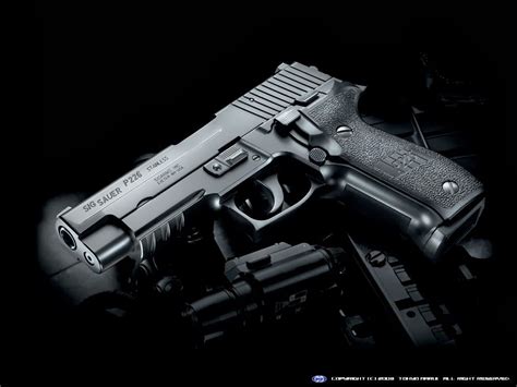 Hand Guns Sig Sauer P226 P228 M11 P229